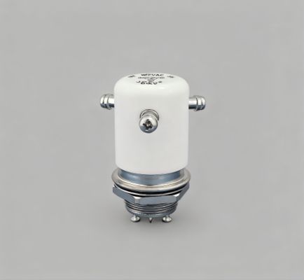 acheter JPK-2-WP relais haute tension DC15KV Porteur de courant 50A Relais sous vide bobine de commutateur Voltage 24 VDC 12VDC online manufacture