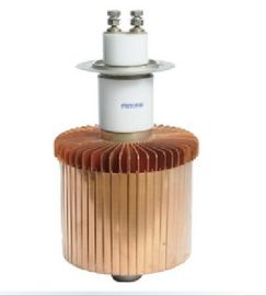 acheter L'élément de tube électronique de vide de FU3069F pour le chauffage par induction remplacent E3069 online manufacture